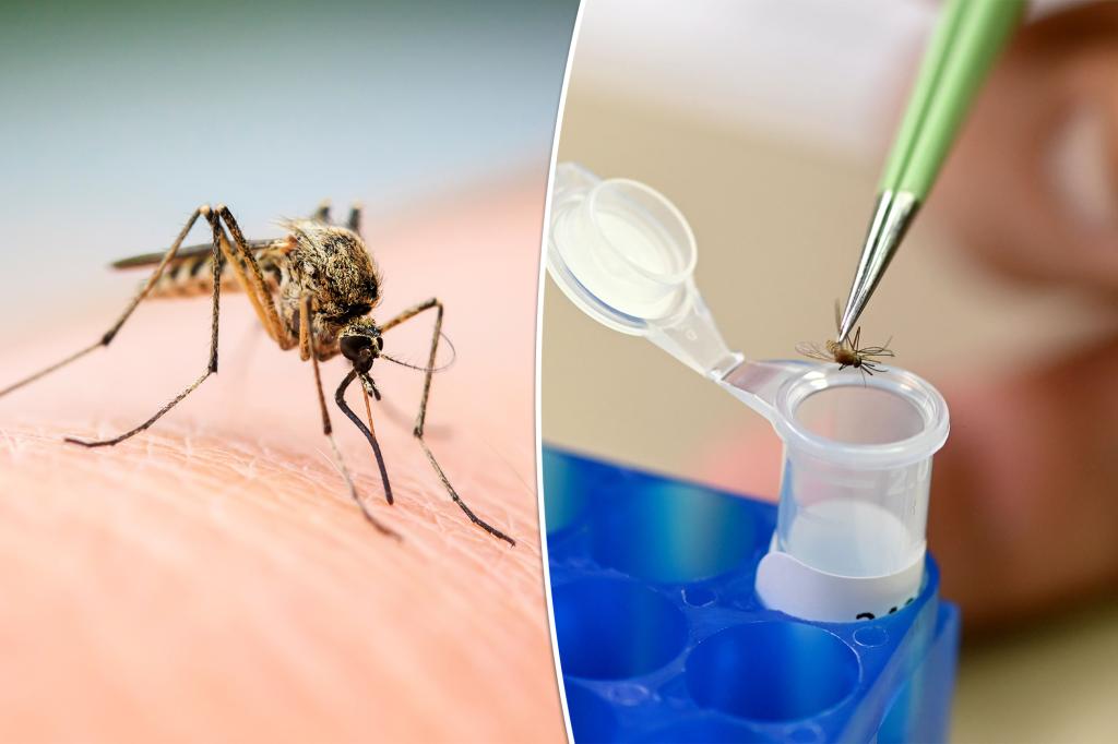 With EEE and West Nile virus on the rise, mosquito season is far from over